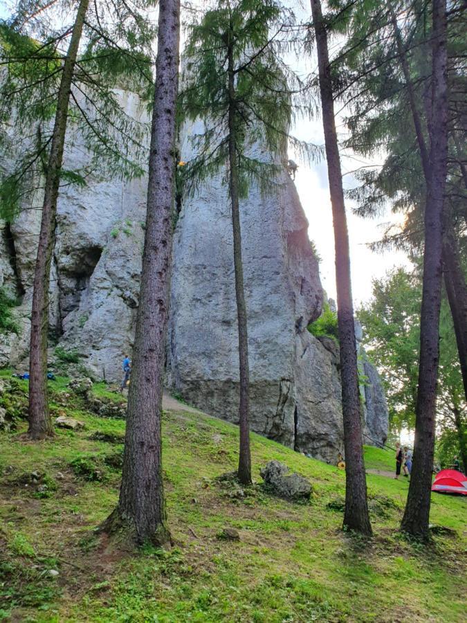 Pokoje Przy Zamku Podzamcze  Exteriér fotografie