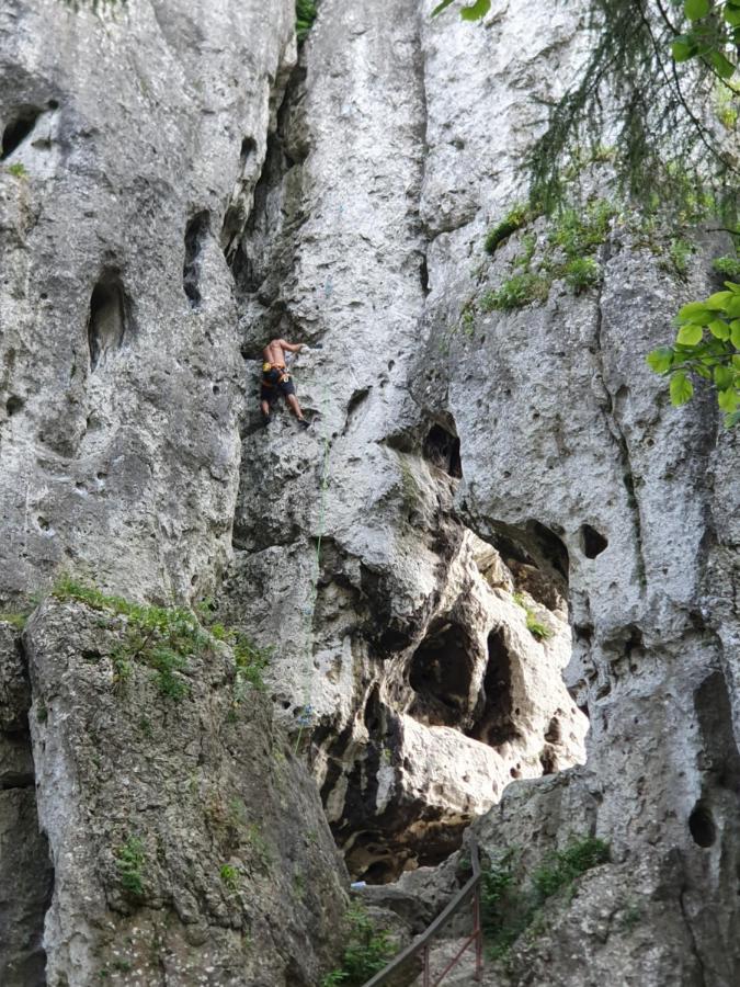 Pokoje Przy Zamku Podzamcze  Exteriér fotografie