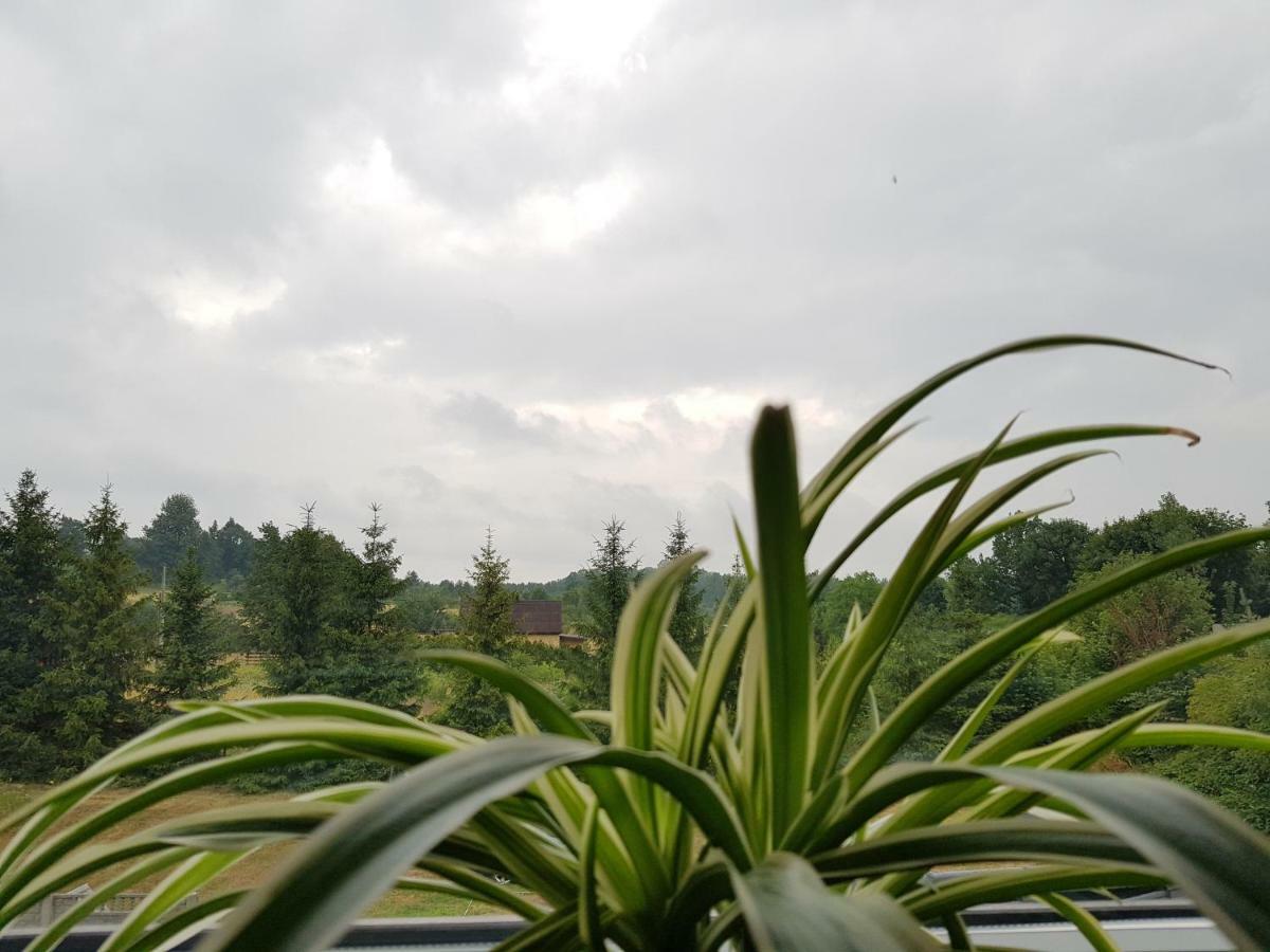 Pokoje Przy Zamku Podzamcze  Exteriér fotografie