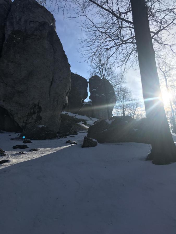 Pokoje Przy Zamku Podzamcze  Exteriér fotografie