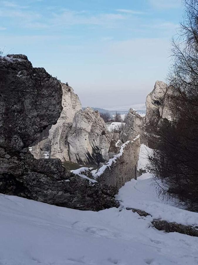 Pokoje Przy Zamku Podzamcze  Exteriér fotografie