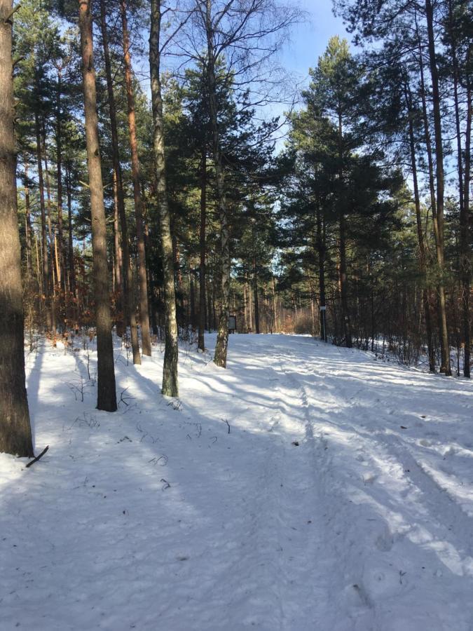 Pokoje Przy Zamku Podzamcze  Exteriér fotografie