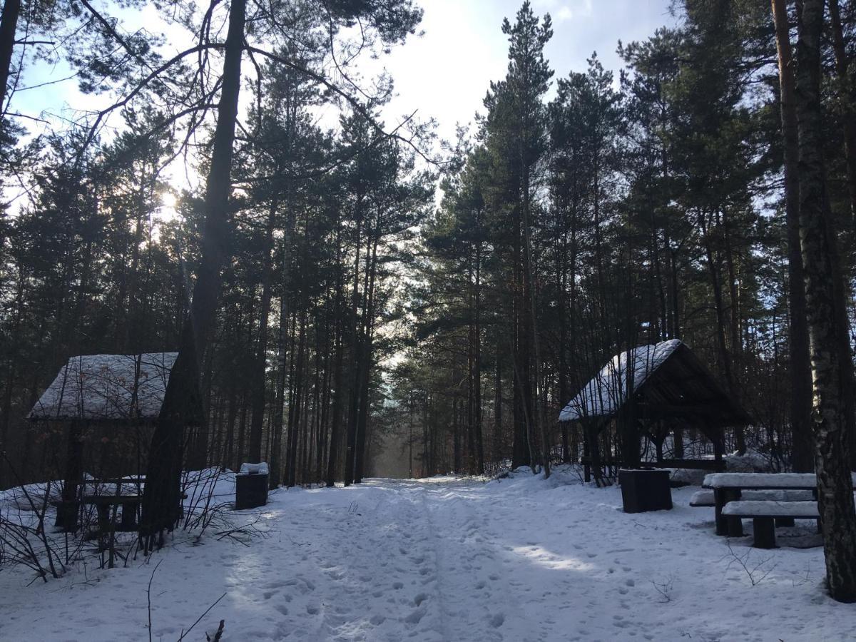 Pokoje Przy Zamku Podzamcze  Exteriér fotografie