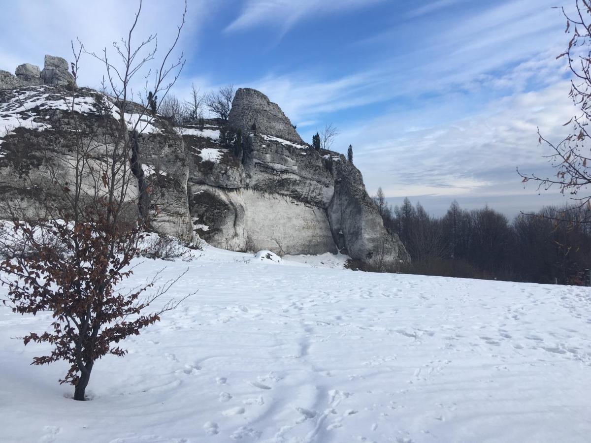 Pokoje Przy Zamku Podzamcze  Exteriér fotografie