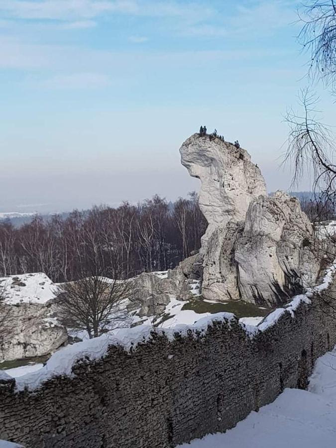 Pokoje Przy Zamku Podzamcze  Exteriér fotografie