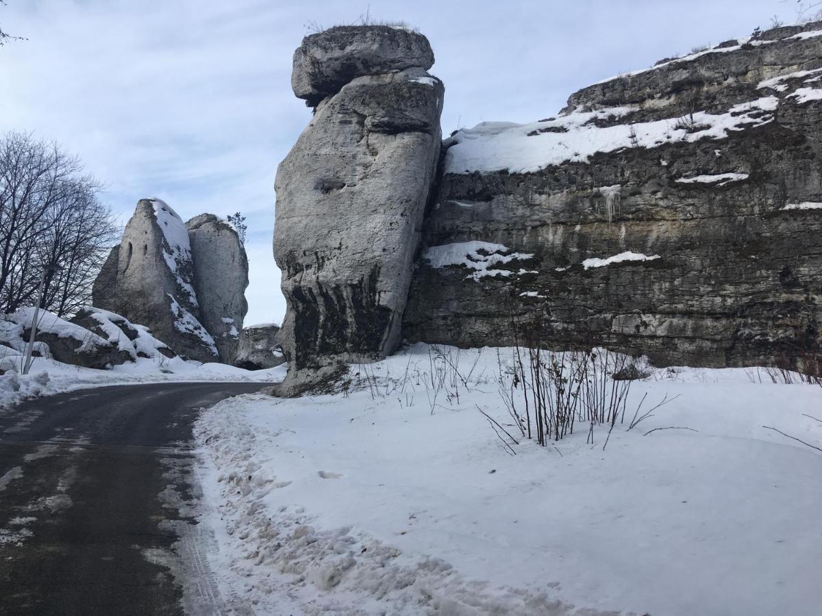 Pokoje Przy Zamku Podzamcze  Exteriér fotografie