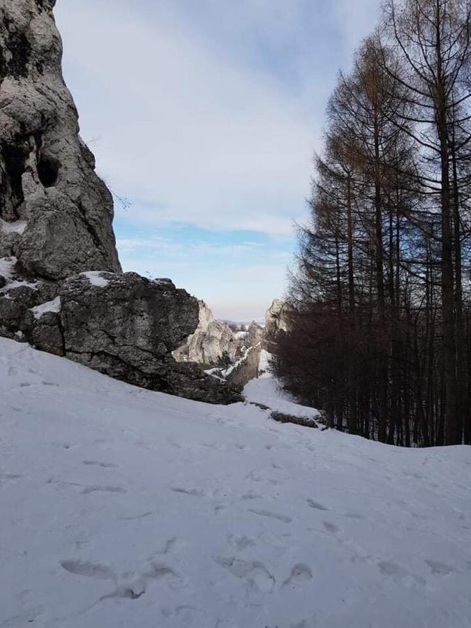 Pokoje Przy Zamku Podzamcze  Exteriér fotografie